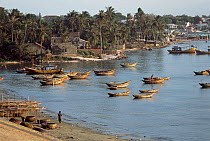 Boats in harbour, Mui ne, Southern Vietnam