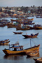 Boats in harbour, Mui ne, Southern Vietnam
