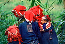 Women and child of Red Zao minority people, Sapa, North Vietnam