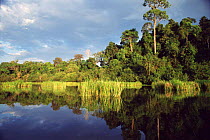 Crocodile Lake, Cat Tien NP. UNESCO World biosphere reserve, South Vietnam