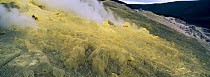 Sulphur fumeroles inside crater of Sierra Negra volcano Isabela Is, Galapagos
