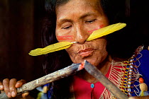Cofan indian lighting fire Amazonia, Ecuador 2004. Feather through nose mariana Aguinda