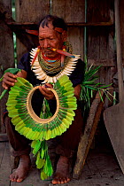 Cofan indian man prepares head-dress of Parrot feathers, Amazonia, Ecuador 2004 Atanacio