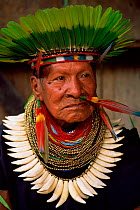 Cofan indian man wearing head-dress of Parrot feathers, Amazonia, Ecuador 2004 Atanacio