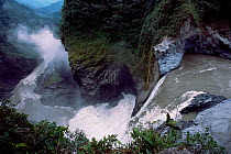 San Rafael / Coca Falls, Quijos river, Amazonia, Ecuador