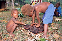 Children play with Pig's head after traditional slaughter, Espirito Santo, Vanuatu