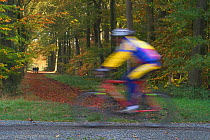 Mountain bicycle riding through woodland, Ghent, Belgium