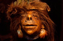 Tsantsa / shrunken head made by the Shuar Indians to their enemies, Ecuador