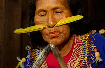 Cofan Indian with feather through nose blowing coals to light fire, Ecuador, Dureno