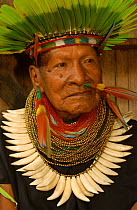 Cofan Indian, traditional dress with parrot feathers + peccary teeth. Ecuador, Dureno
