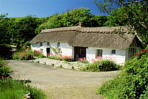 Traditional thatched cottage, Coombe valley, Cornwall, UK.