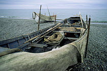 Local fishing boats 'Umiaks' of the Chukchi eskimos, Yanrakynnot, E Siberia, Russia