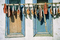 Drying fish outside house, Chukchi eskimos, Yanrakynnot, E Siberia, Russia