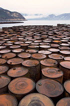 Rusting barrels, relics of submarine base, Shimushir Is, Kuril Is, Kamchatka, E Russia
