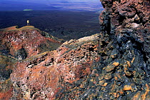 Crater wall of active Chico volcano, Isabella Is, Galapagos