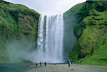 Tourists at Skogafoss waterfall, Iceland