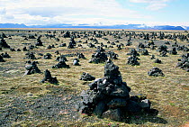 Laufskalavordur / stone mounds made by early settlers, Iceland