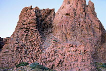 Volcanic basalt log structures on La Catedral rock, El Teide NP, Tenerife
