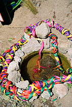 Lake Titicaca frog kept in small container to promote rain, ancient tradition, Peru