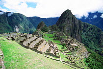Machu Picchu, Andes, Peru