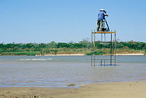 Camerman Martyn Colbeck filming Boto / Bouto river dolphins (Inia geoffrensis) from platform, Araguia river, Brazil during making of BBC Planet Earth series 2004