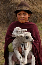Quichua Indian child with lambs, Casa Condor, Andes, Ecuador