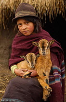 Quichua indian child with goats, Casa Condor, Chimborazo, Andes, Ecuador. 2004