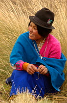Quichua indian shepherd woman watching Alpaca herd, Chimborazo, Andes, Ecuador. 2004