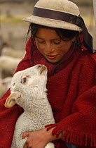 Quichua Indian child with lamb, Chimborazo, Andes, Ecuador. 2004