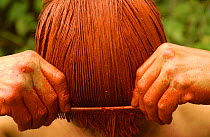 Colorado indian dying hair orange with Achiote seeds, Ecuador, Santo Domingo de Los Colorados