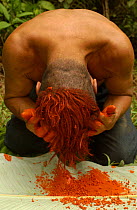 Colorado indian man dying hair with Achiote seeds, Ecuador, Santo Domingo de Los Colorados