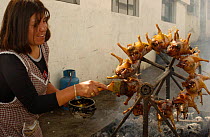 Cooking Cui / Guinea Pigs on rotating spit, Pelileo Town, Andes, Ecuador 2004