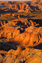 Honey Comb Buttes, Red Desert, Wyoming, USA.