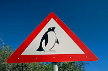 Beware Penguin road sign, Simonstown, South Africa