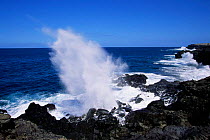 Blowhole off west coast of La Reunion, Indian Ocean