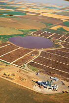Intensive livestock rearing with playa lake polluted by manure, Texas, USA.