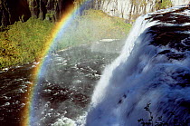 Rainbow at Upper Mesa Falls, Targhee NF, Idaho, USA.