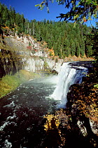Upper Mesa Falls, Targhee NF, Idaho, USA.