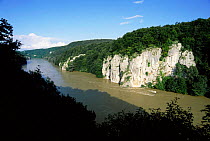 The Danube Canyon at high water, Weltenburg, Bavaria, Germany