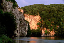 The Danube Canyon in evening light, Weltenburg, Bavaria, Germany