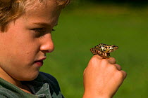 Boy holding Pickerel frog {Rana palustris} USA.