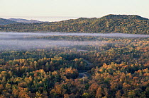 Autumn landscape with mist over woodland, Primorskiy, Siberia, Far east Russia (Ussuriland).