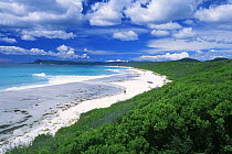 Friendly beaches, Frevcinet NP, Tasmania, Australia