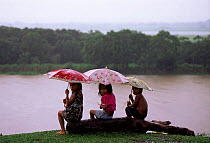 Children shelter from rain under umbellas beside flooded forest, Amazonas, Brazil