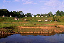 Communities living beside River Solimoes, Mamiraua Ecol. Stn, Amazonas, Brazil