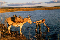 Water seller collects water from artificial lake, Aiuaba, Ceara, NE Brazil