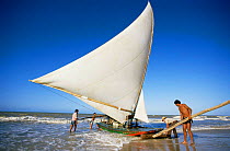 Traditional sailing boat / raft, Ceara, NE Brazil