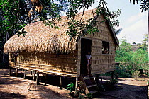 Typical thatched home of Caboclo family, River Negro, Amazonas, Brazil