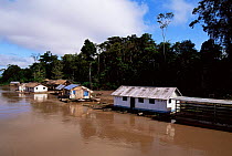 Communities living beside Panauan channel, Mamiraua Ecol. Stn, Amazonas, Brazil