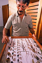 Scientist with collection of rainforest insects, Linhares FR, Espirito Santo, Brazil